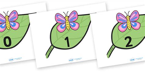 butterfly number in jueteng meaning